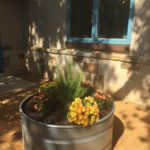 barrel of flowers and plants